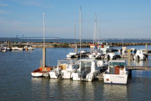 Exposition à l'HOUMEAU (17) Exposition à l'HOUMEAU (17)